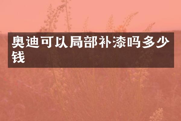 奥迪可以局部补漆吗多少钱