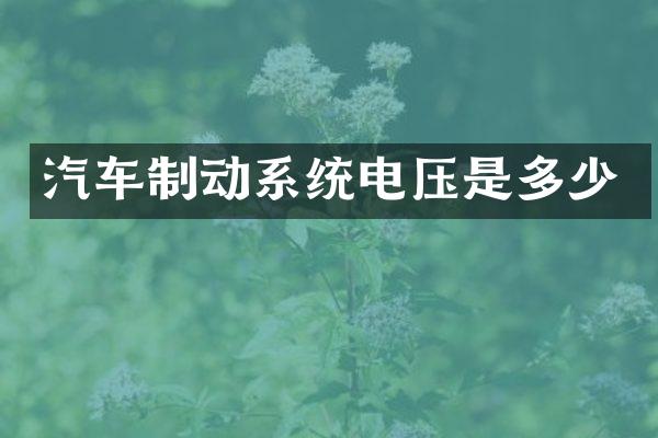 汽车制动系统电压是多少
