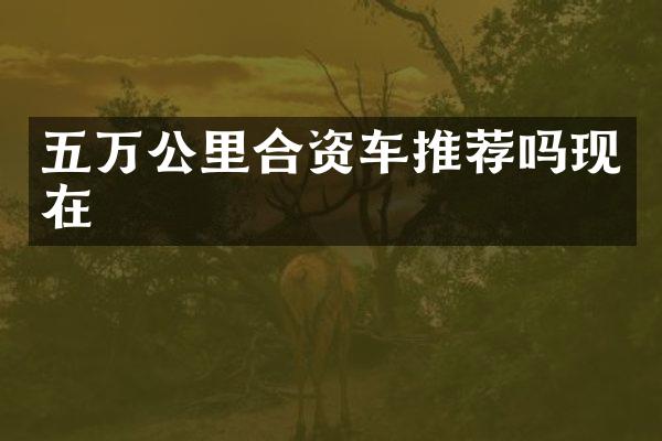 五万公里合资车推荐吗现在