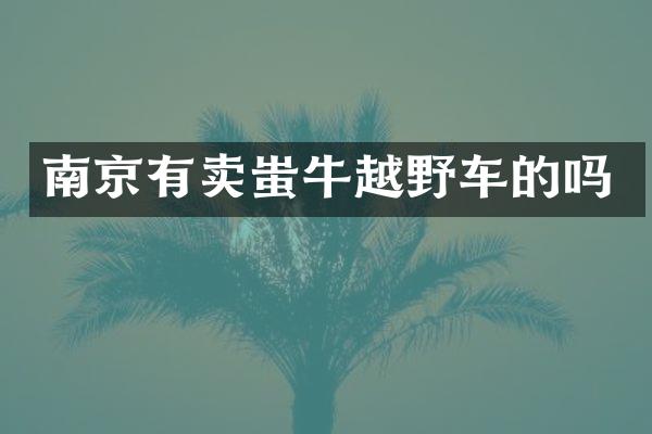 南京有卖蚩牛越野车的吗