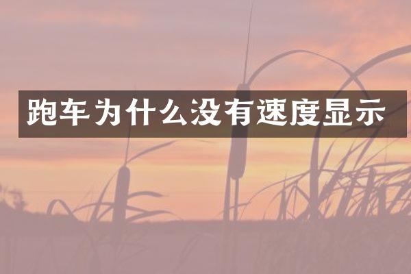 跑车为什么没有速度显示
