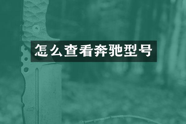 怎么查看奔驰型号