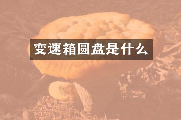 变速箱圆盘是什么