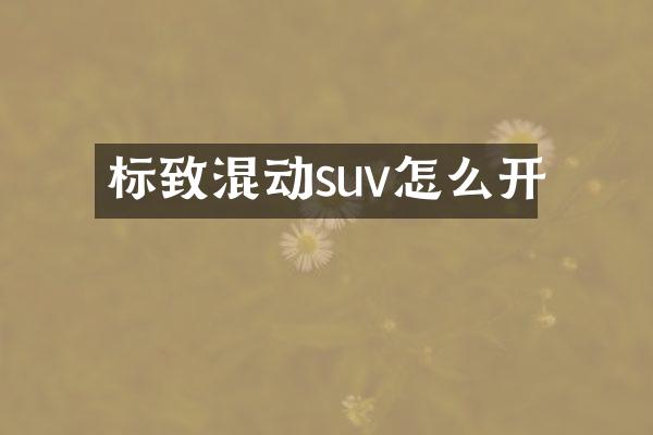 标致混动suv怎么开