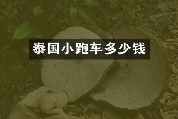 泰国小跑车多少钱