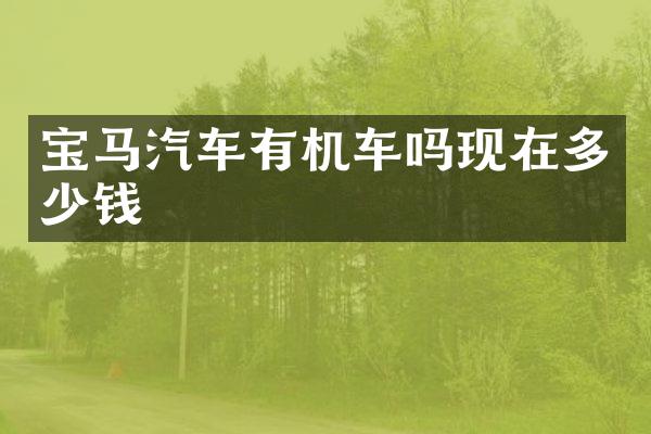 宝马汽车有机车吗现在多少钱