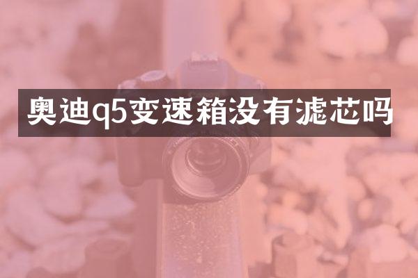 奥迪q5变速箱没有滤芯吗
