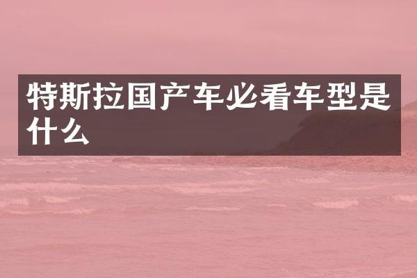 特斯拉国产车必看车型是什么