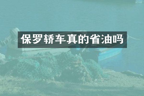 保罗轿车真的省油吗