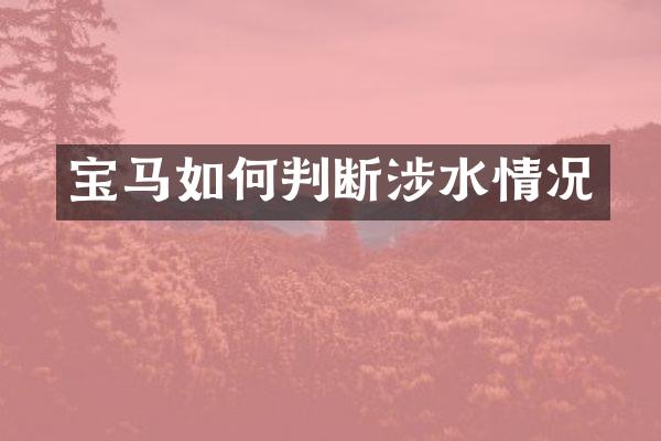 宝马如何判断涉水情况