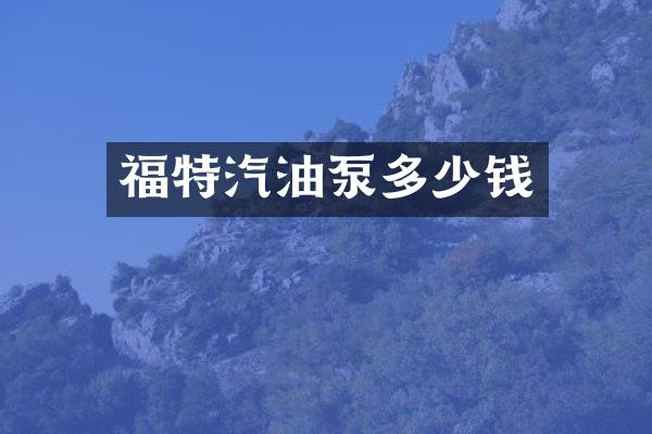 福特汽油泵多少钱