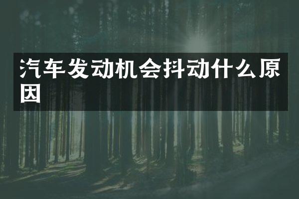 汽车发动机会抖动什么原因