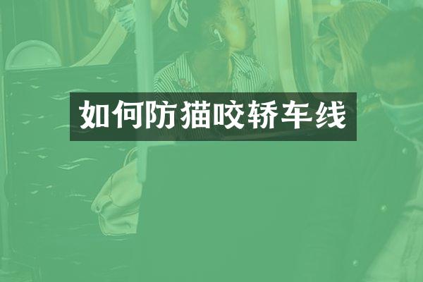 如何防猫咬轿车线