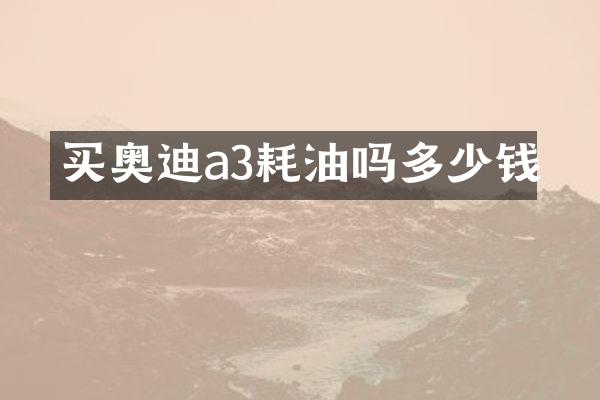 买奥迪a3耗油吗多少钱