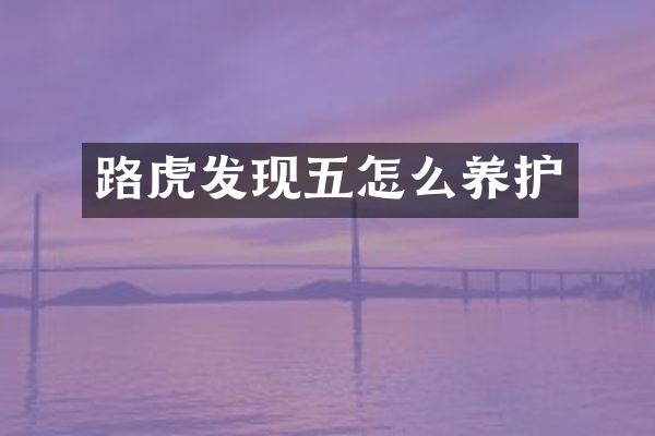 路虎发现五怎么养护