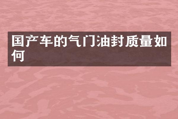 国产车的气门油封质量如何