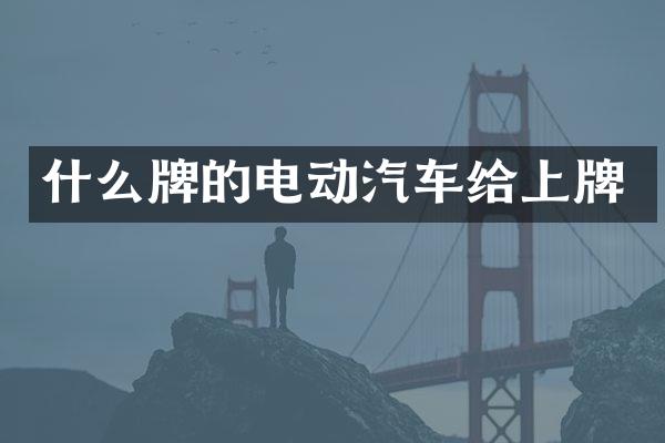 什么牌的电动汽车给上牌