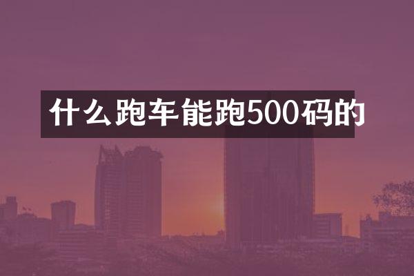 什么跑车能跑500码的
