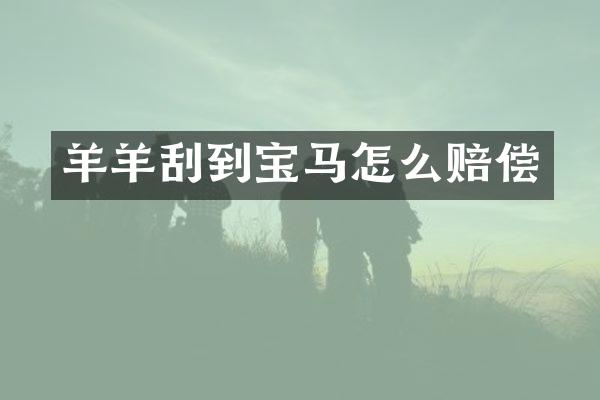 羊羊刮到宝马怎么赔偿