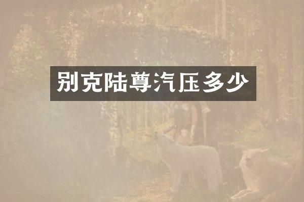 别克陆尊汽压多少