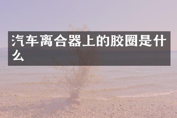 汽车离合器上的胶圈是什么