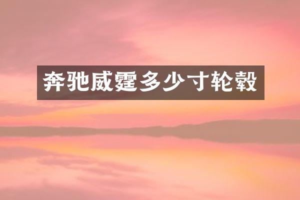 奔驰威霆多少寸轮毂