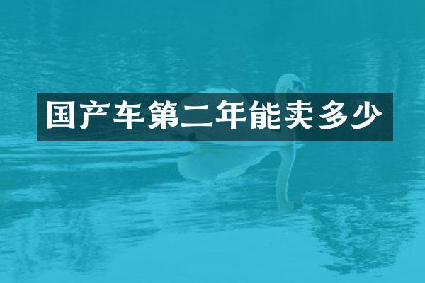 国产车第二年能卖多少