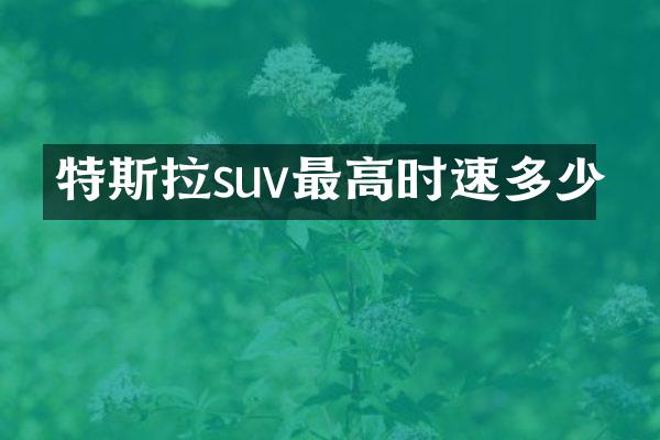 特斯拉suv最高时速多少