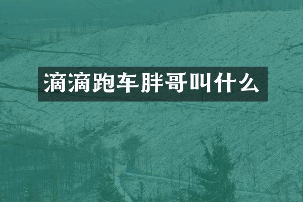 滴滴跑车胖哥叫什么