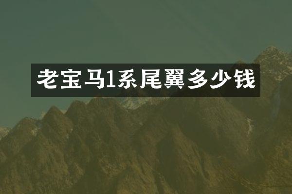 老宝马1系尾翼多少钱