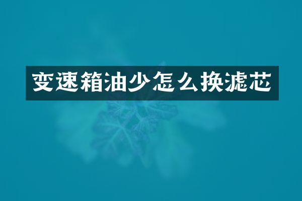 变速箱油少怎么换滤芯