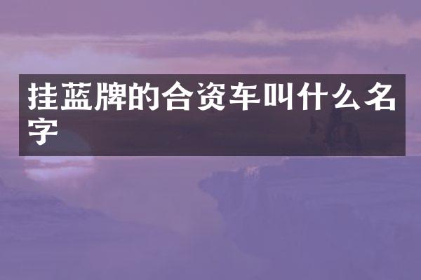 挂蓝牌的合资车叫什么名字