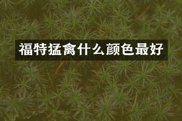 福特猛禽什么颜色最好