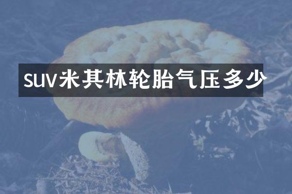 suv米其林轮胎气压多少