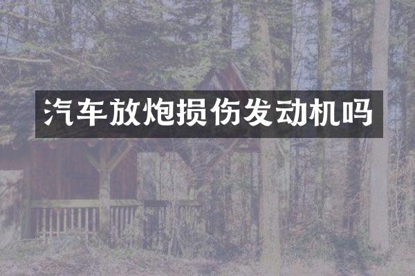 汽车放炮损伤发动机吗