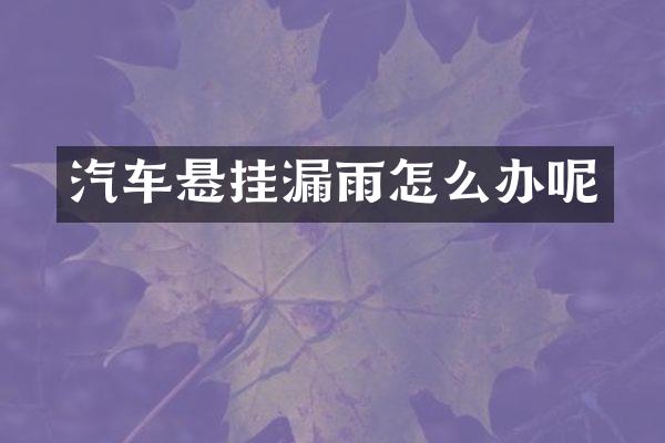 汽车悬挂漏雨怎么办呢