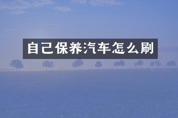 自己保养汽车怎么刷