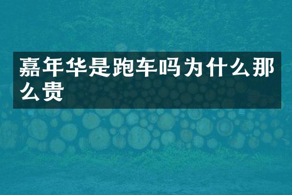 嘉年华是跑车吗为什么那么贵