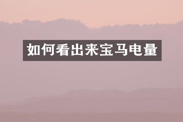 如何看出来宝马电量