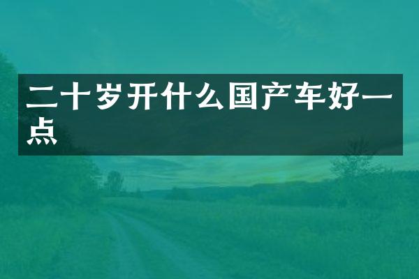 二十岁开什么国产车好一点