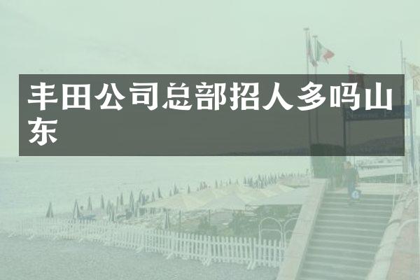 丰田公司总部招人多吗山东