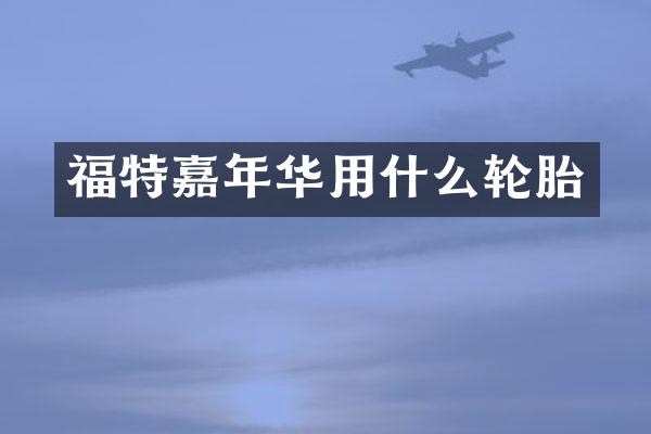 福特嘉年华用什么轮胎
