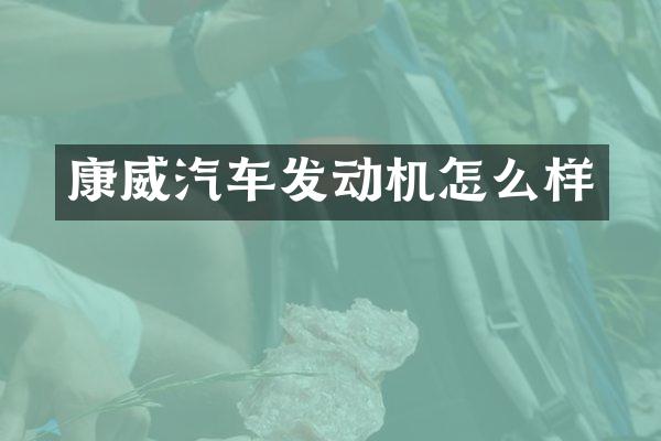 康威汽车发动机怎么样