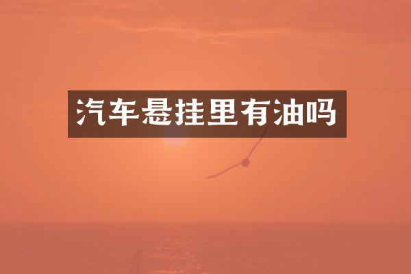 汽车悬挂里有油吗
