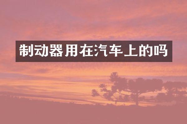 制动器用在汽车上的吗