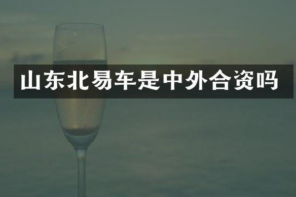 山东北易车是中外合资吗