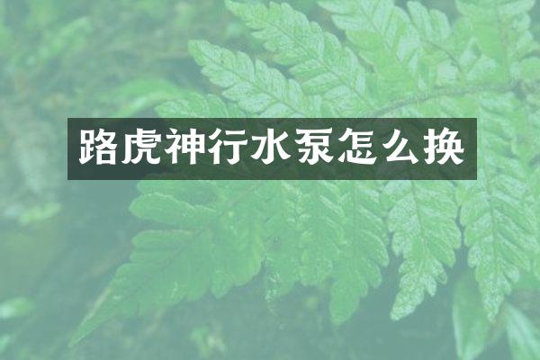 路虎神行水泵怎么换
