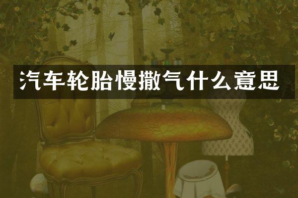 汽车轮胎慢撒气什么意思