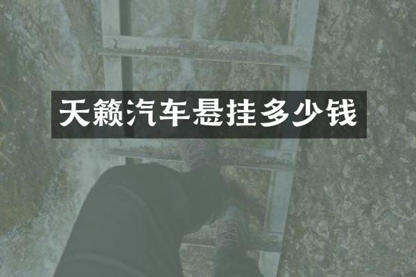 天籁汽车悬挂多少钱