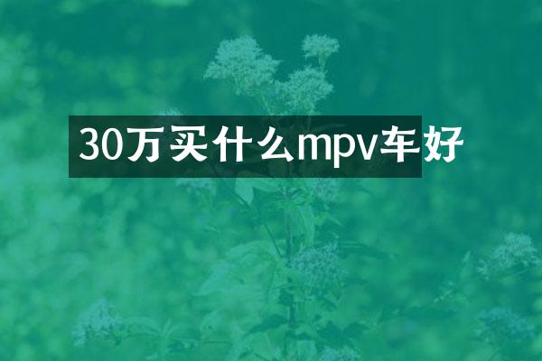 30万买什么mpv车好